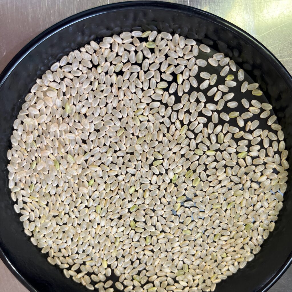 明木早期米コシヒカリ7年産玄米