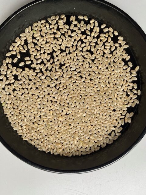 全農賞篠田さんにじのきらめき